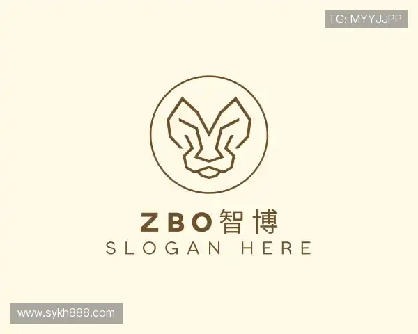 解读zbo1919